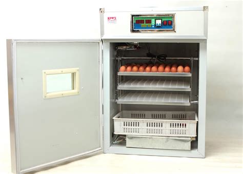 Buy an Automatic Egg Incubator for Sale in the .